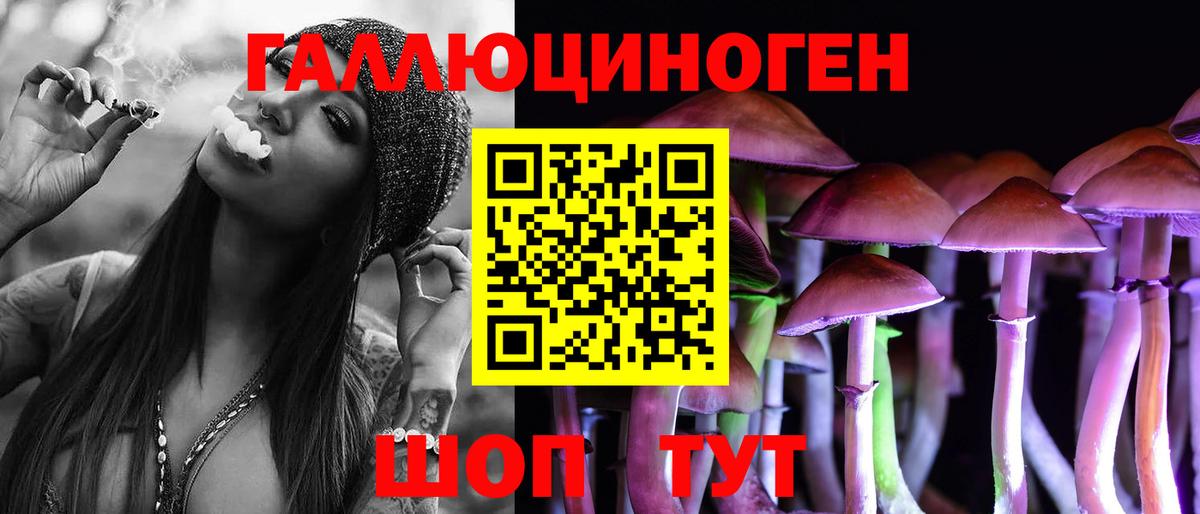 Галлюциногенные грибы Psilocybine cubensis Зеленодольск